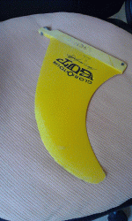 aleta 22.gif