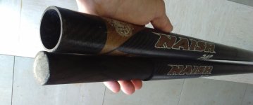 NAISH2.jpg