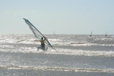 IMG_8287.JPG