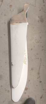 IMG_20200811_113315_264.jpg