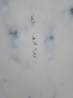 20250316_181823.jpg