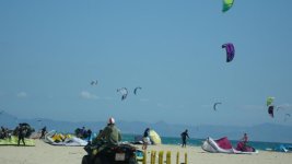 DSC00412_800x450.jpg