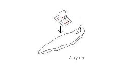 Nuevo Imagen de mapa de bits.JPG