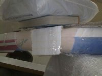 11052010350.jpg