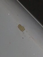 foto3.JPG