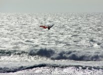 IMG_0018.jpg