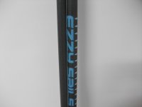 ezzy mast 2.jpg