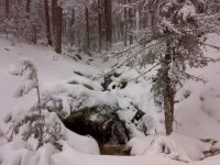 navacerrada3.JPG