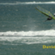 canido29