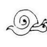 snailsails