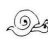 snailsails